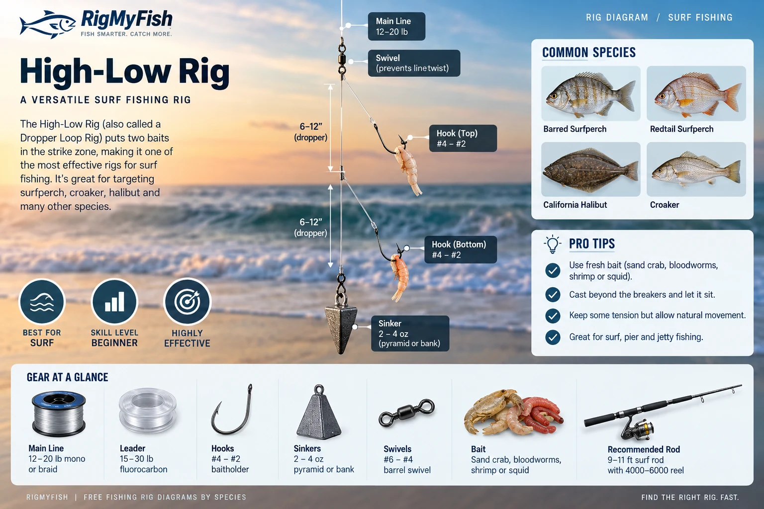 High-Low surf fishing rig visual guide with labeled line, hooks, sinker, bait, species, and gear