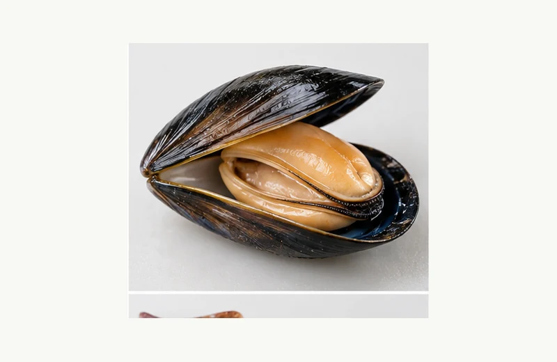 Mussel fishing bait