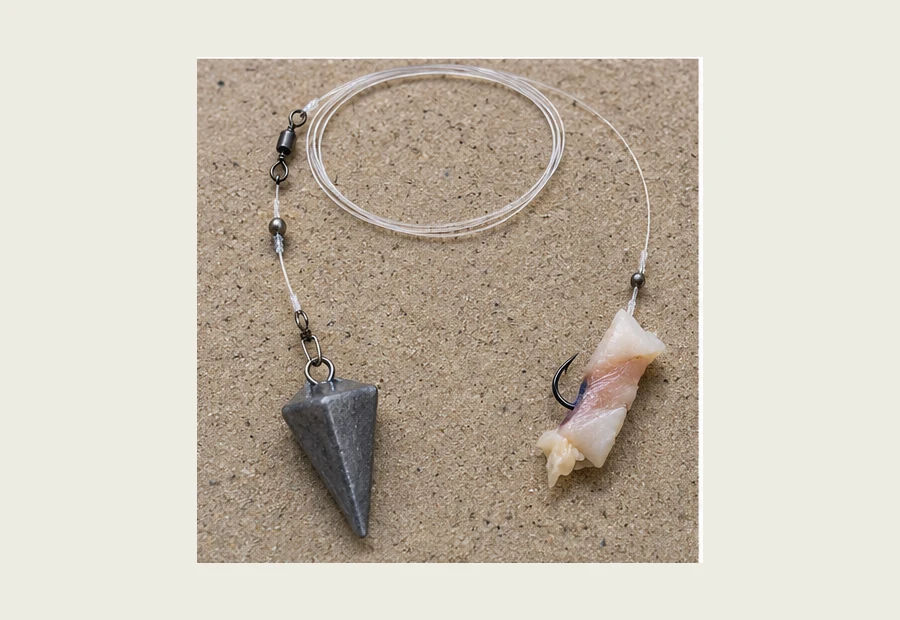Realistic Pyramid Sinker Surf Rig fishing rig setup
